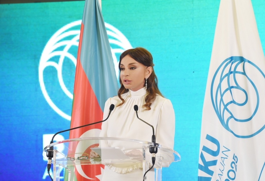 巴库申办2025年世博会晚宴在巴黎举行阿塞拜疆副总统梅赫丽班·阿利耶娃出席晚宴