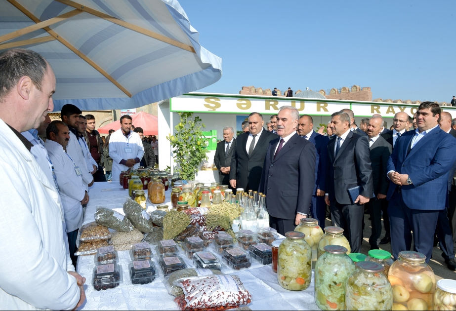 Naxçıvanda “Ailə təsərrüfatı məhsulları” festivalı keçirilib