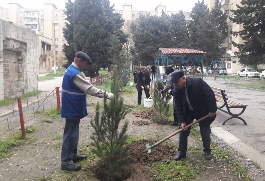 Xətai rayonunda növbəti iməcilik təşkil olunub