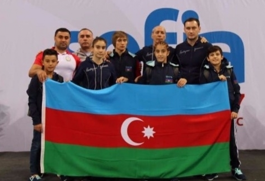 Azərbaycan gimnastı XXV dünya yaş qrupu yarışlarında qızıl medal qazanıb