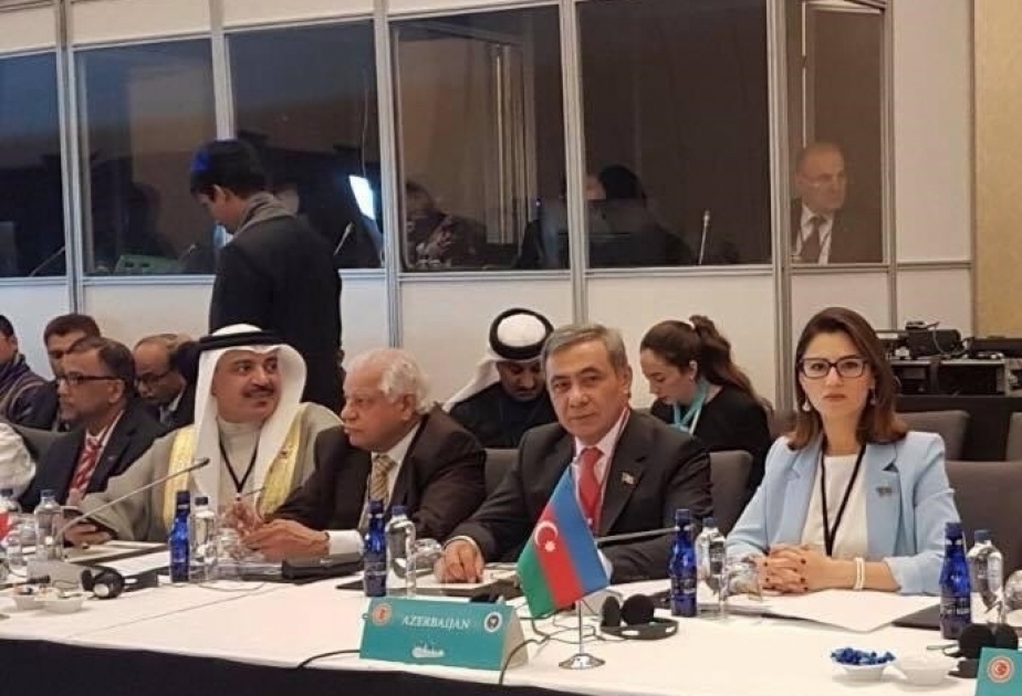 Azerbaijani MPs attend Asian Parliament Assembly plenary session in Istanbul