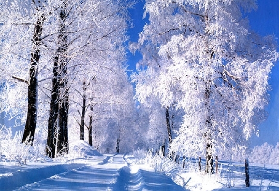 Высота снежного покрова в Сарыбаше и Хыналыге достигла 22 см