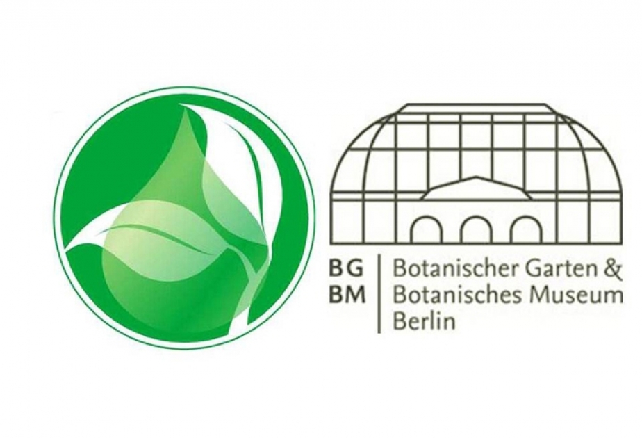 Сотрудники Института ботаники приняли участие в заседании Фонда Фольксвагена