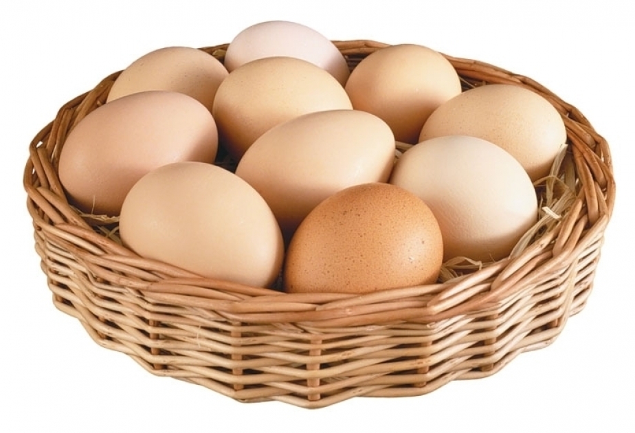 Куриные яйца - источник полноценного белка и профилактика заболеваний