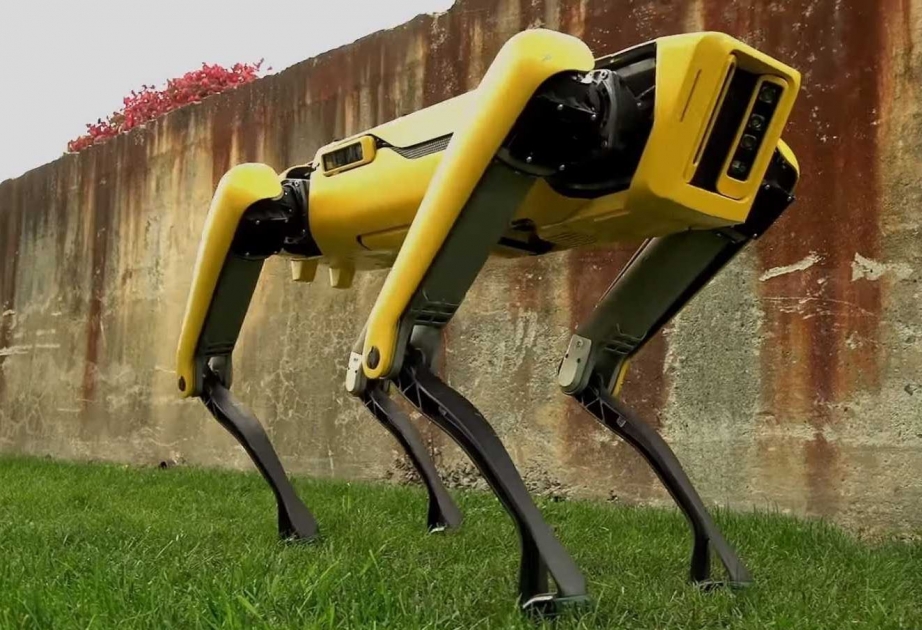 “SpotMini” robotunun yeni versiyası təqdim edilib