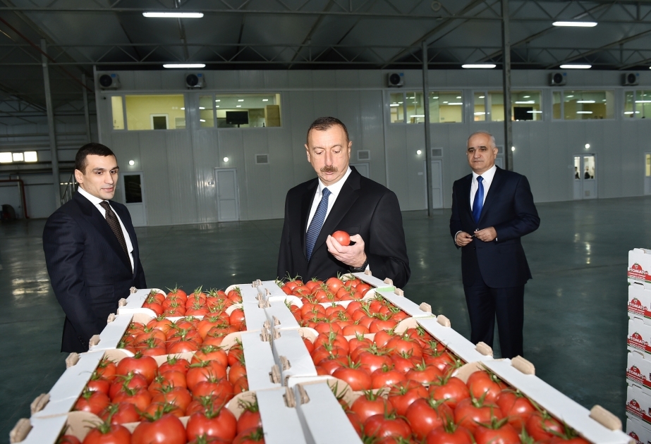 Prezident İlham Əliyev Xəzər rayonunun Zirə qəsəbəsində “BAKU AGROPARK”da görülən işlərlə tanış olub YENİLƏNİB - 2 VİDEO