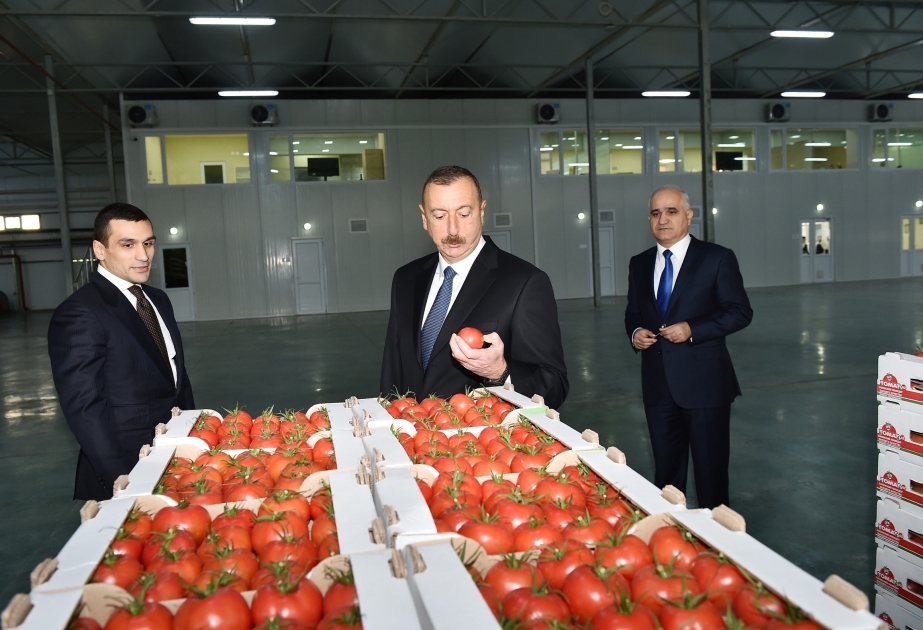 Le président Ilham Aliyev inspecte les travaux effectués au «BAKU AGROPARK» dans le bourg de Ziré VIDEO