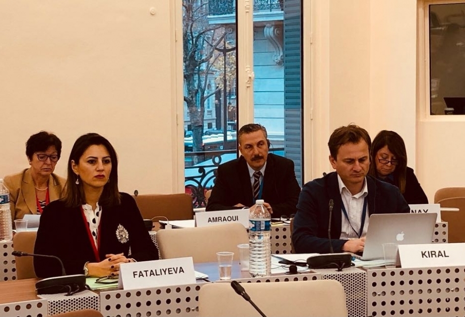 Azerbaijani MP's report adopted at PACE committee meeting