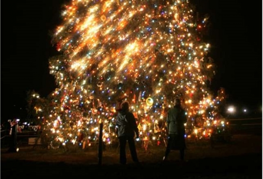 Guatemala: Beim Christbaumschmücken starben fünf Menschen