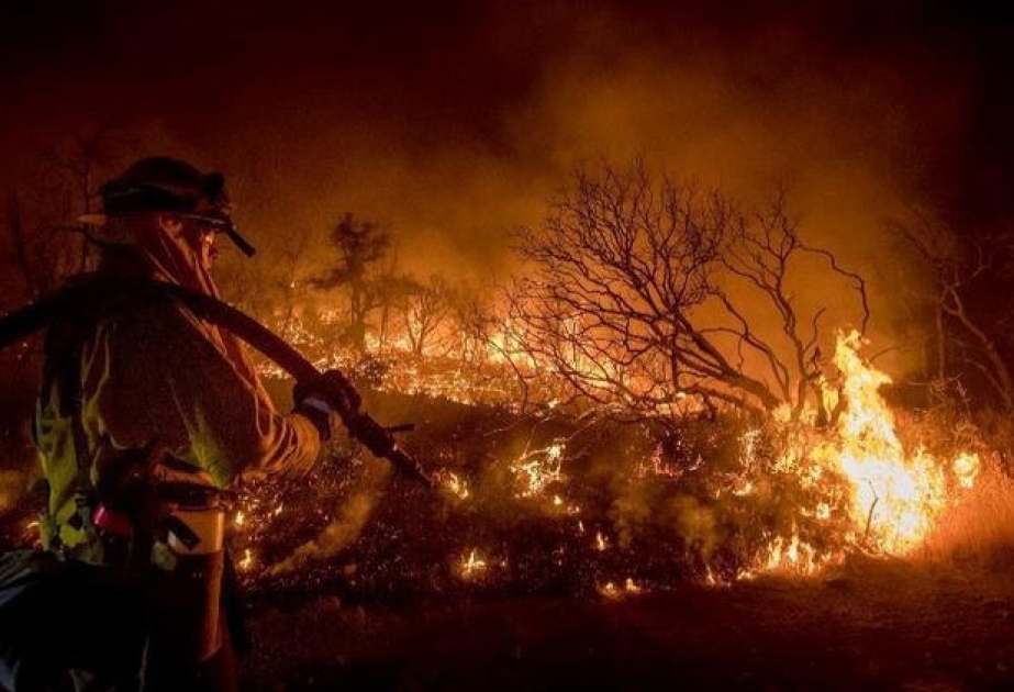 В зоне сильнейших лесных пожаров в Калифорнии оказались 12 миллионов человек