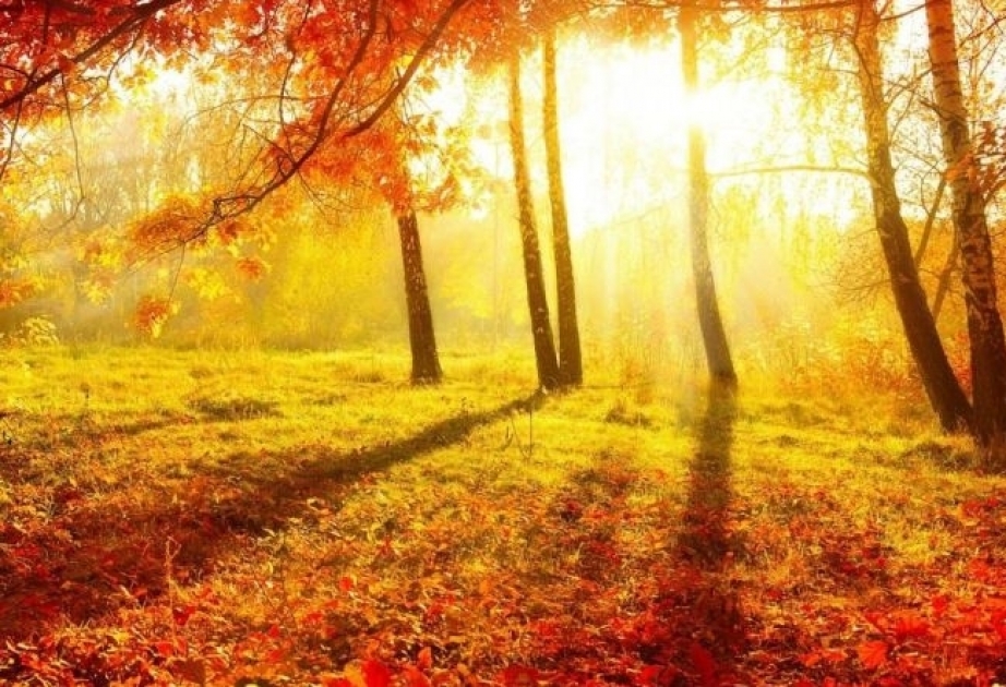 Həftəsonu ölkə ərazisində havanın temperaturunun nisbətən yüksələcəyi gözlənilir