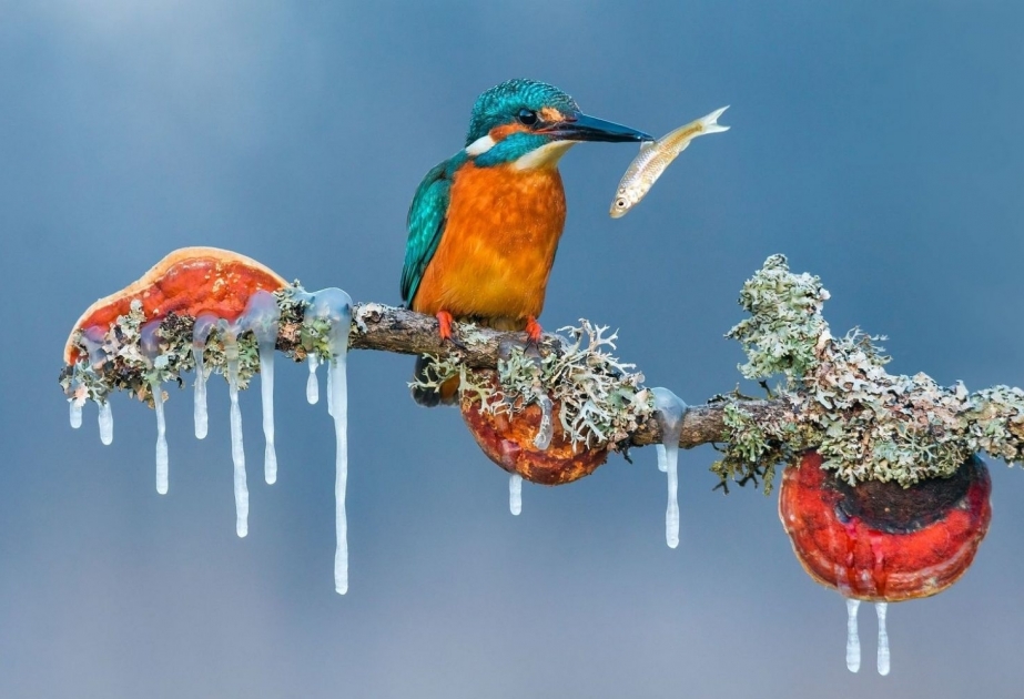 Die besten Fotos des Jahres- Siena Photo Awards
