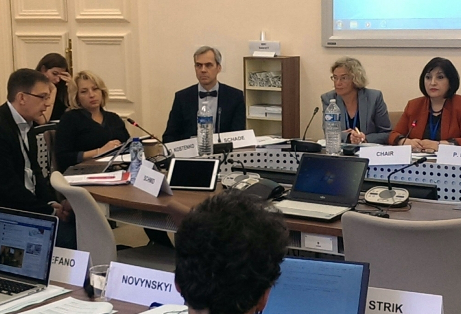 Azerbaijani MP highlights migrants' problems at PACE Committee meeting