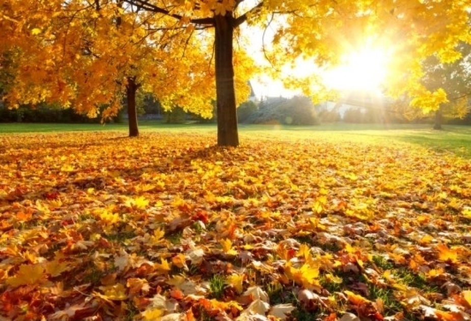 Ölkə ərazisində havanın temperaturu 13 dərəcə isti təşkil edəcək