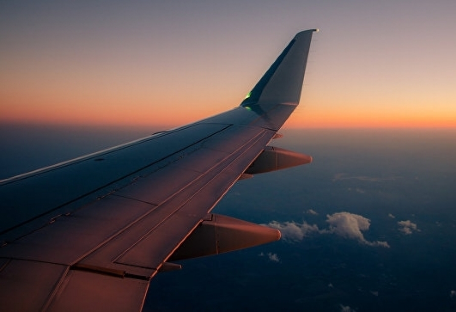 Russia, Egypt sign protocol on cooperation in civil aviation security