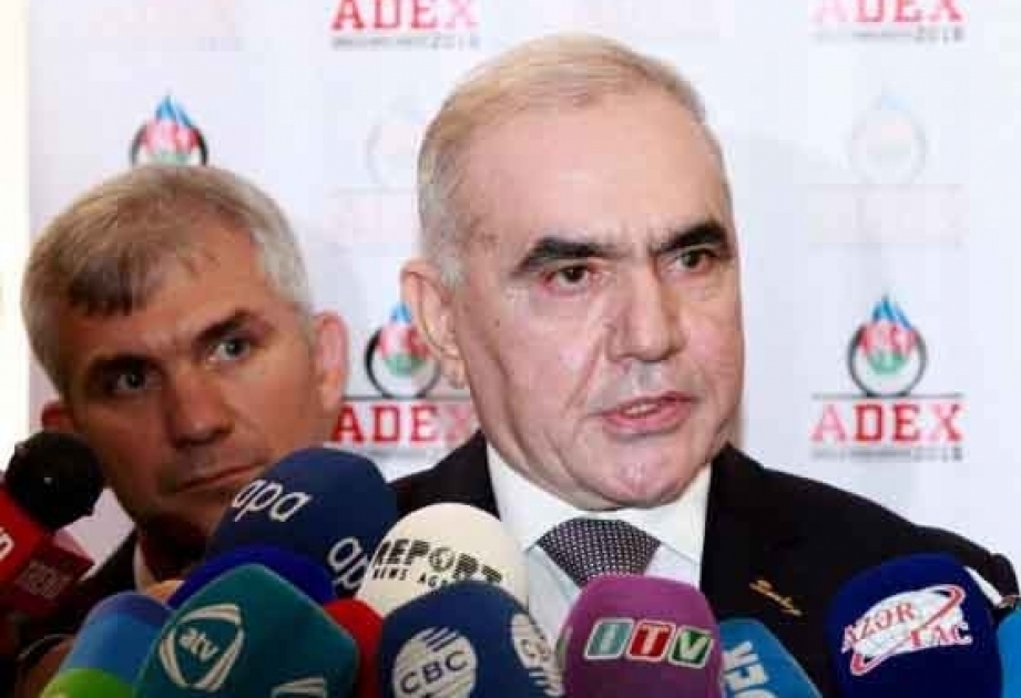 We are going to implement projects with Turkey and several other countries, Azerbaijani defense industry minister
