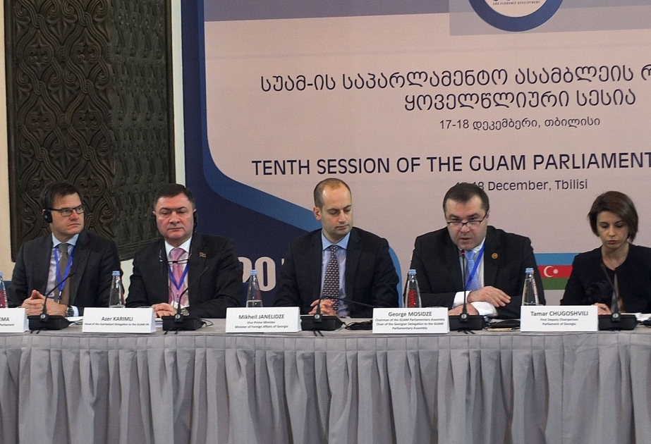 Mixeil Canelidze: GUAM regionundakı münaqişələr normal inkişafımıza mane olur