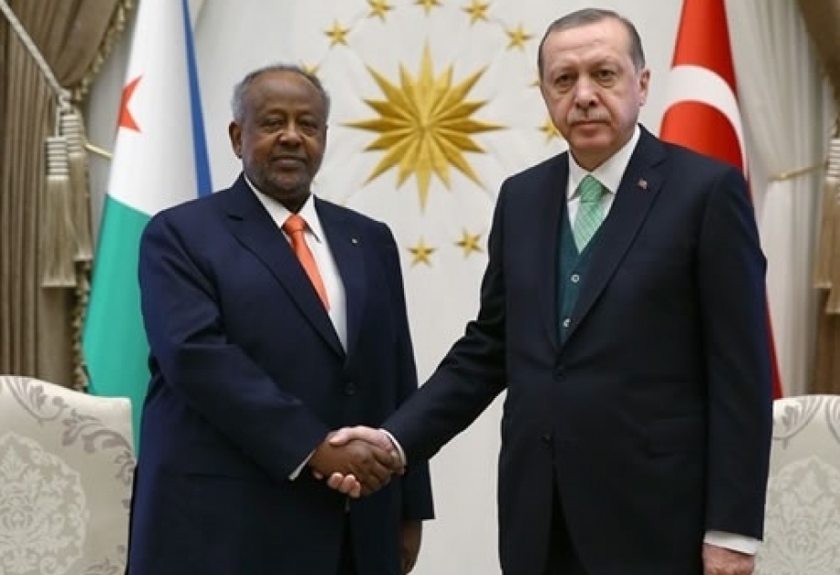رئيس جيبوتي وصل في زيارة رسمية الى تركيا