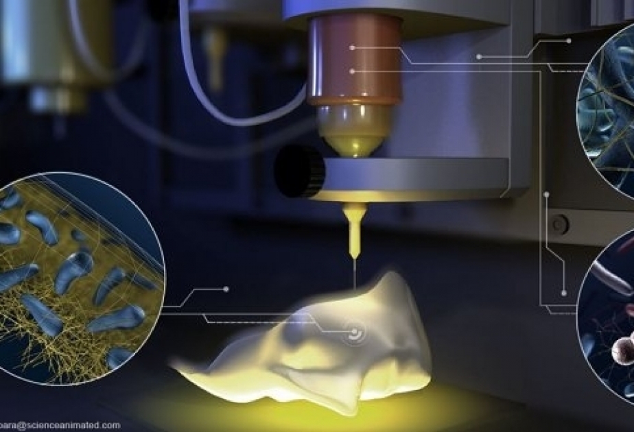 Swiss scientists pioneer 3D printing with live organisms