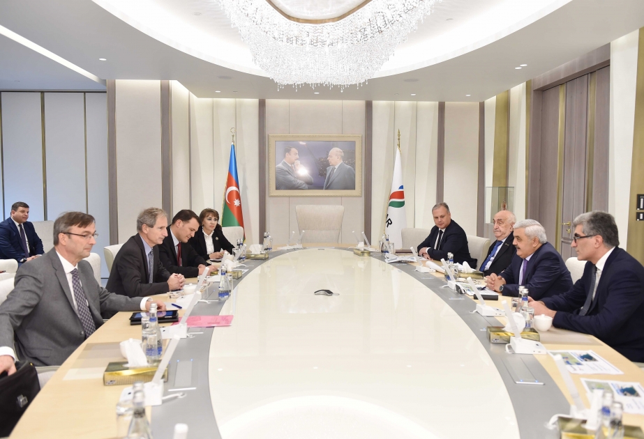 Total, SOCAR discuss prospects for development of Absheron gas condensate field