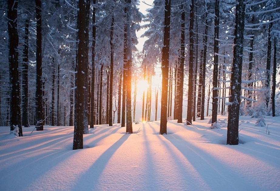 Qışın ilk günü ölkə ərazisində havanın temperaturu 12 dərəcə isti təşkil edəcək