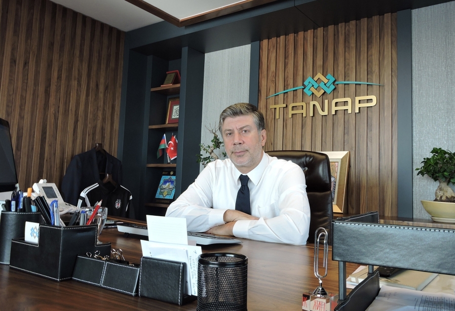First gas on TANAP pipeline will be delivered to Turkey by July 1, 2018, Saltuk Duzyol