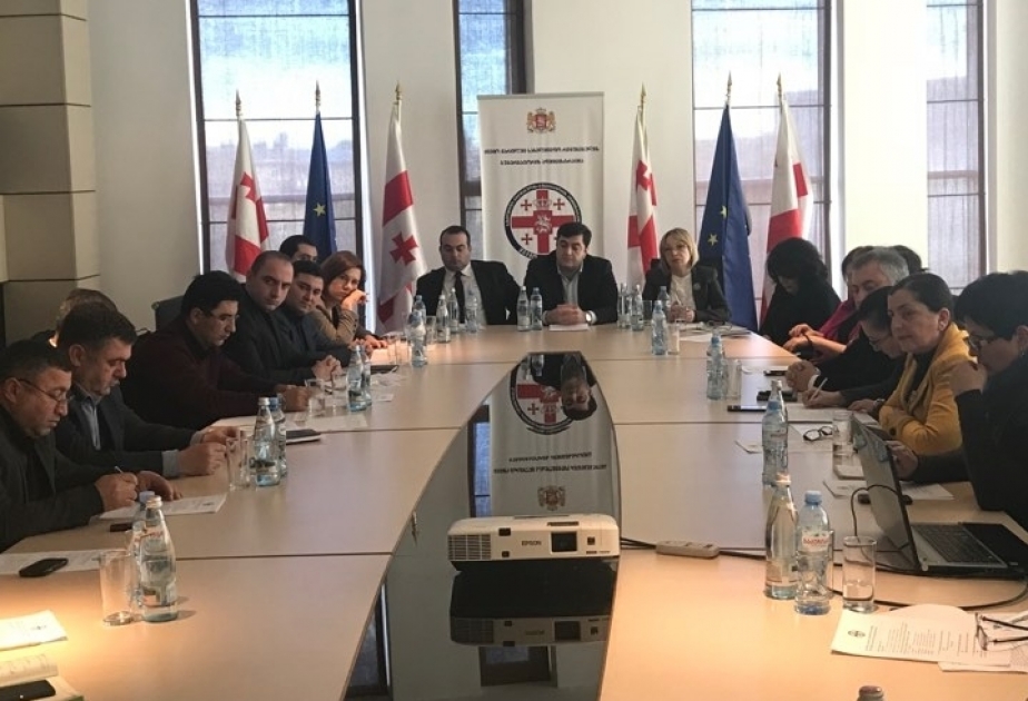 Gürcüstan dövləti milli azlıqların problemlərini diqqət mərkəzində saxlayır