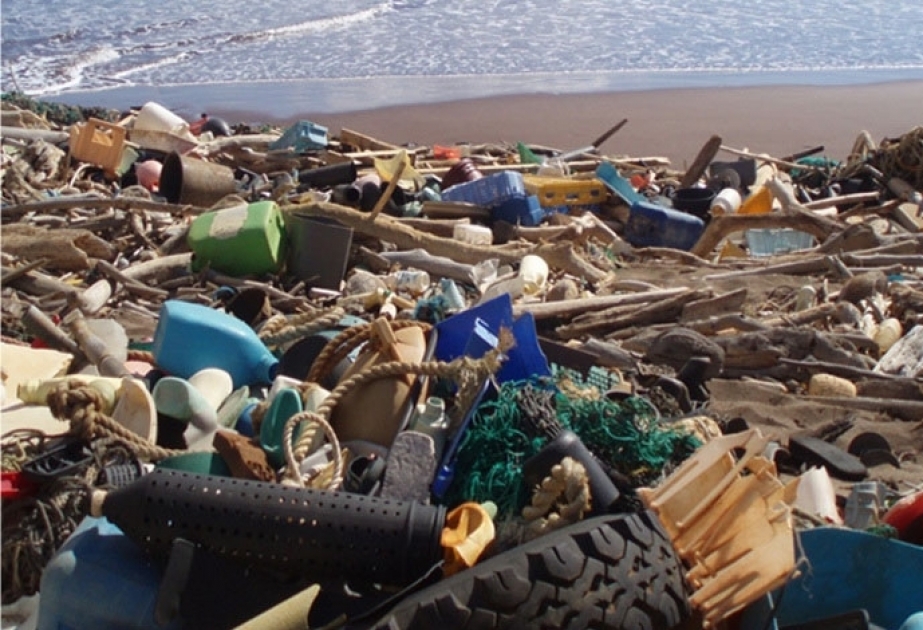Arktis wird mehr und mehr zum globalen Endlager für Plastikmüll