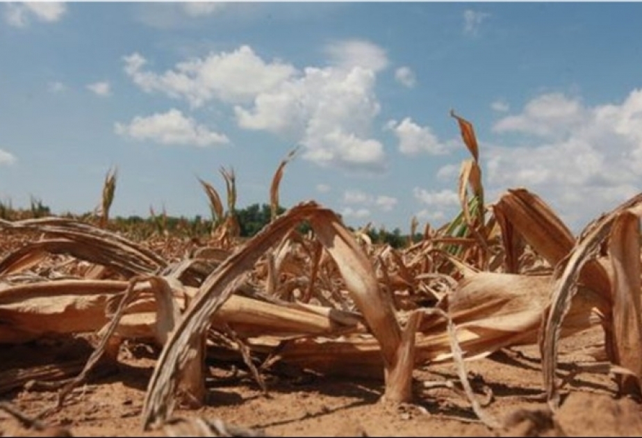 Verheerende Dürre in Südafrika – Es könnte im April 2018 Wasserhähne komplett zudrehen