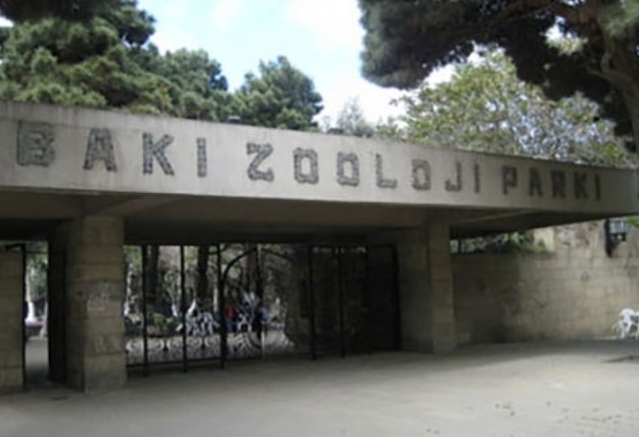 Ötən il Bakı Heyvanat Parkını 100 mindən çox insan ziyarət edib