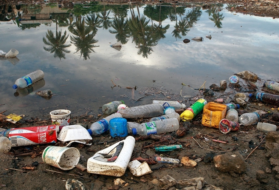 UNEP və ÜST planet əhalisinin sağlamlığı üçün birgə mübarizə aparacaq