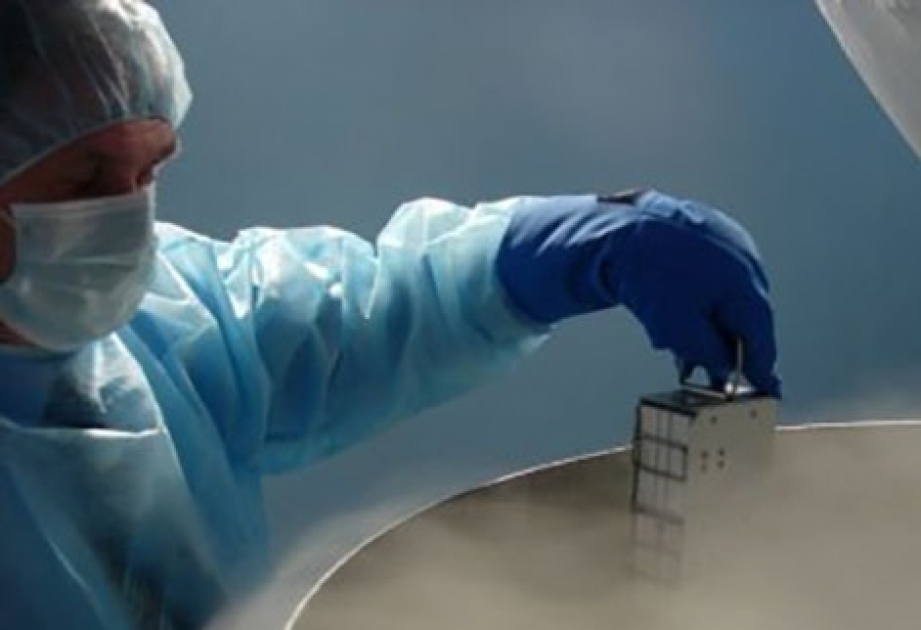 Tibb işçiləri dondurulmuş embriondan istifadəni dəstəkləyirlər