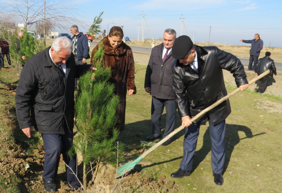 Yeni Azərbaycan Partiyasının 25 illiyi münasibətilə ağacəkmə aksiyası keçirilib