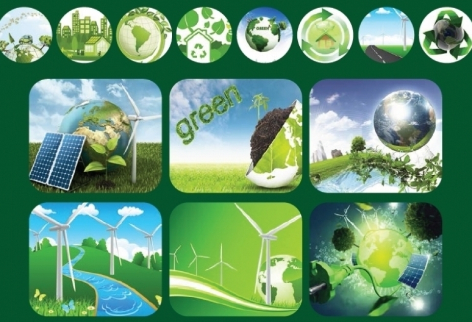 Одним из главных направлений работы ООН будет переход на «зеленую» экономику