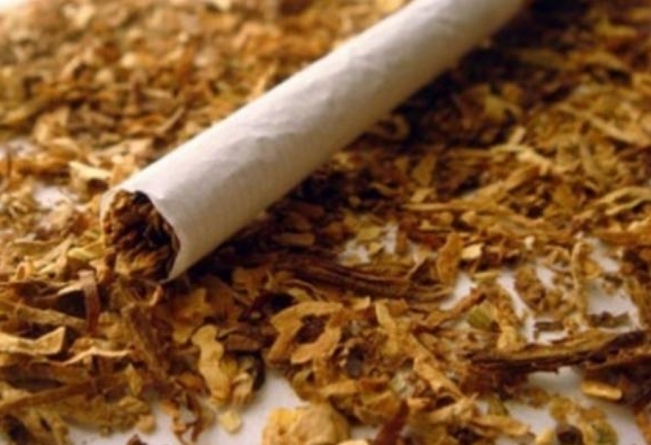 صندوق تشجيع التصدير الأذربيجاني يحذر المصدرين بحظر تصدير منتجات التبغ إلى قطر
