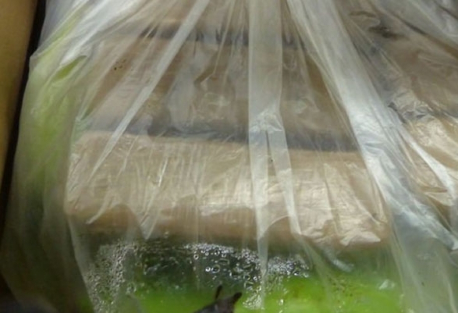 Südamerika: Zwischen Bananen 190 Kilo Kokain gefunden
