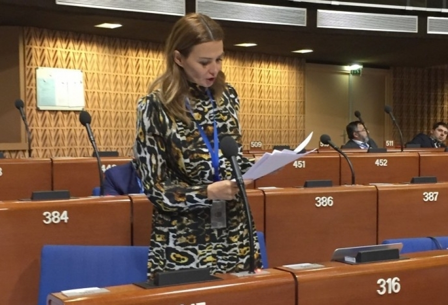 Milli Məclisin deputatı: AŞPA ikili standartlara son qoymalı, Ermənistana qarşı ciddi tədbirlər görməlidir