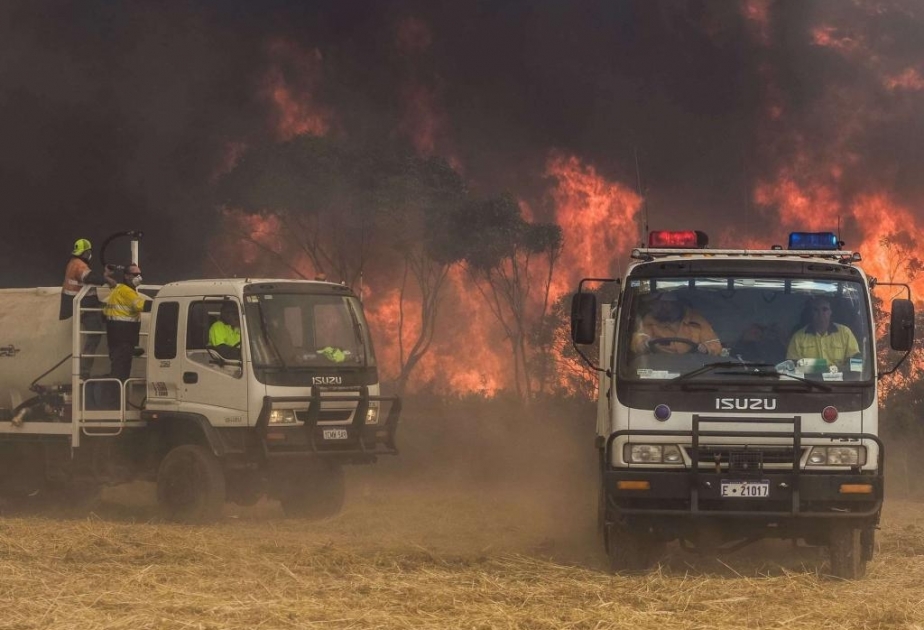 Buschbrand in Westaustralien außer Kontrolle geraten