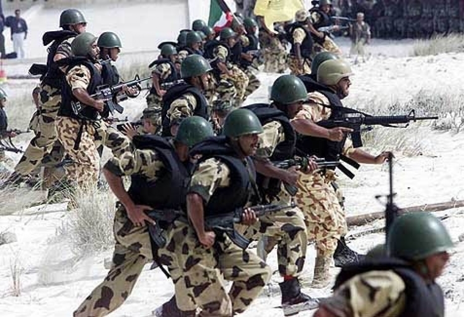 Egyptian army says 16 militants killed in Sinai operation