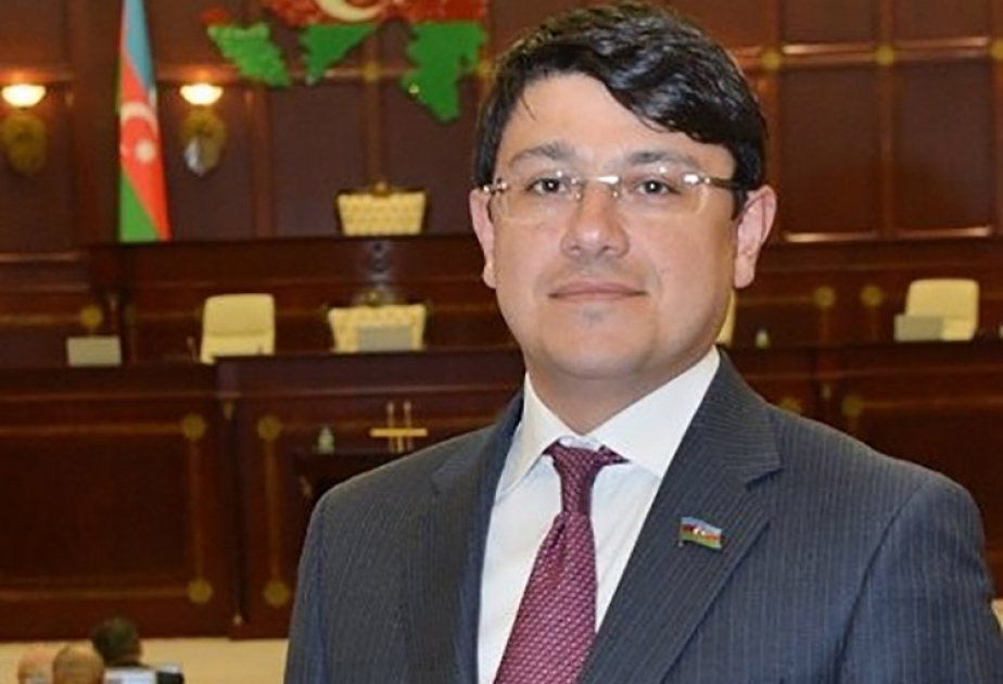 Fuad Muradov: Avronest PA-nın komitə iclaslarında siyasi, iqtisadi, enerji və sosial məsələlərə dair müzakirələr aparılacaq