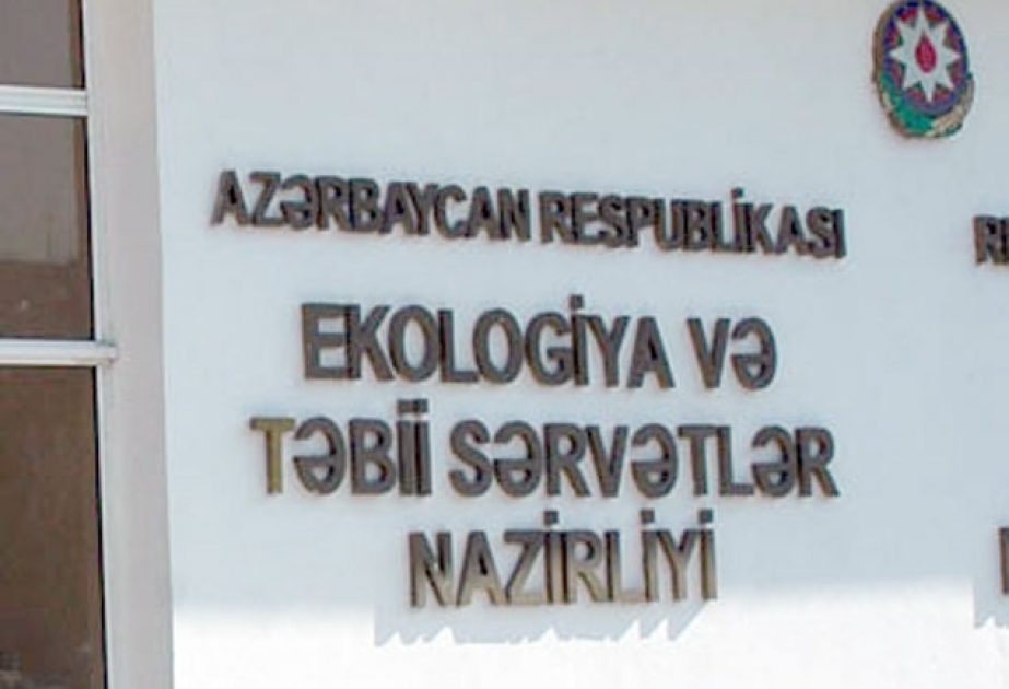 Qanunsuz yolla əldə edilmiş meşə materialları aşkarlanıb