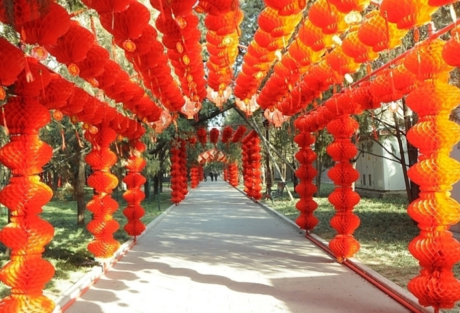 中国各地欢庆 2018 狗年