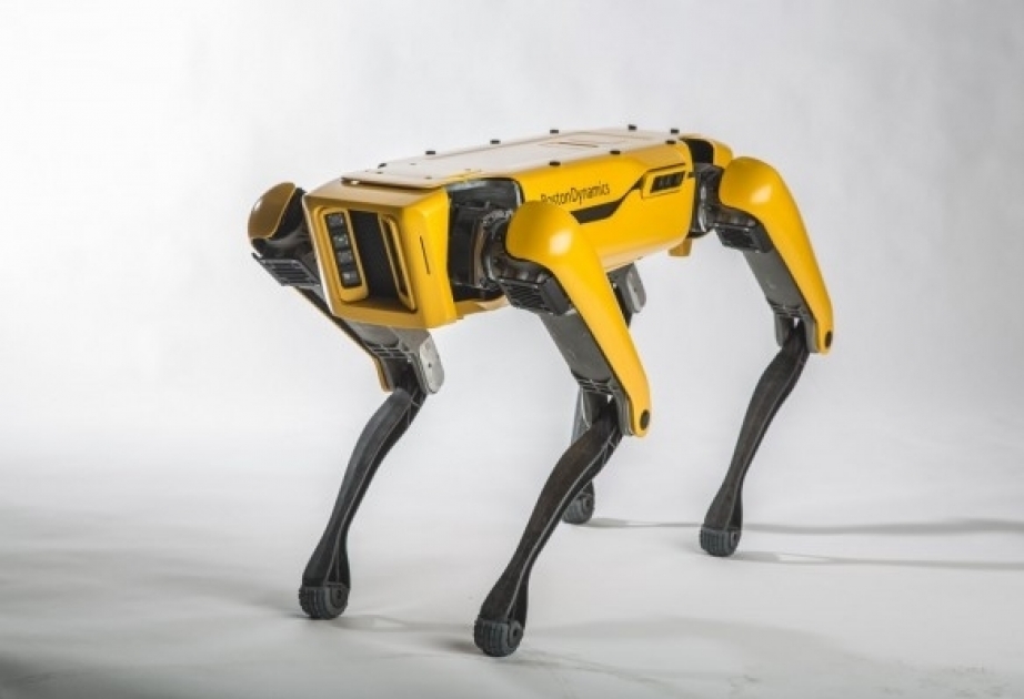 В США Boston Dynamics учит собаку-робота сопротивляться человеку