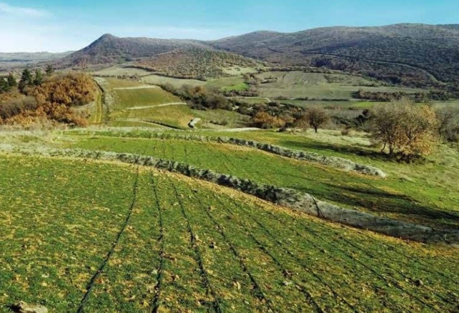 TAP: Plus de la moitié des terrains utilisés dans la construction du tronçon de Grèce et d’Albanie a été remise en état