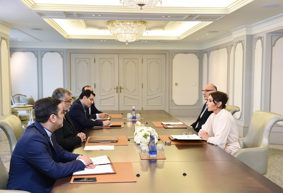 نائبة الرئيس الاذربيجاني الأولى تلتقي رئيس منظمة الثقافة والعلاقات الإسلامية الإيرانية