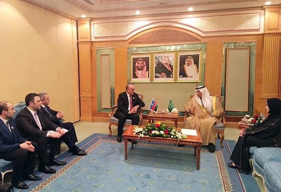بحث مشروع تعاون لاحق في العمل والضمان الاجتماعي مع السعودية وإندونيسيا