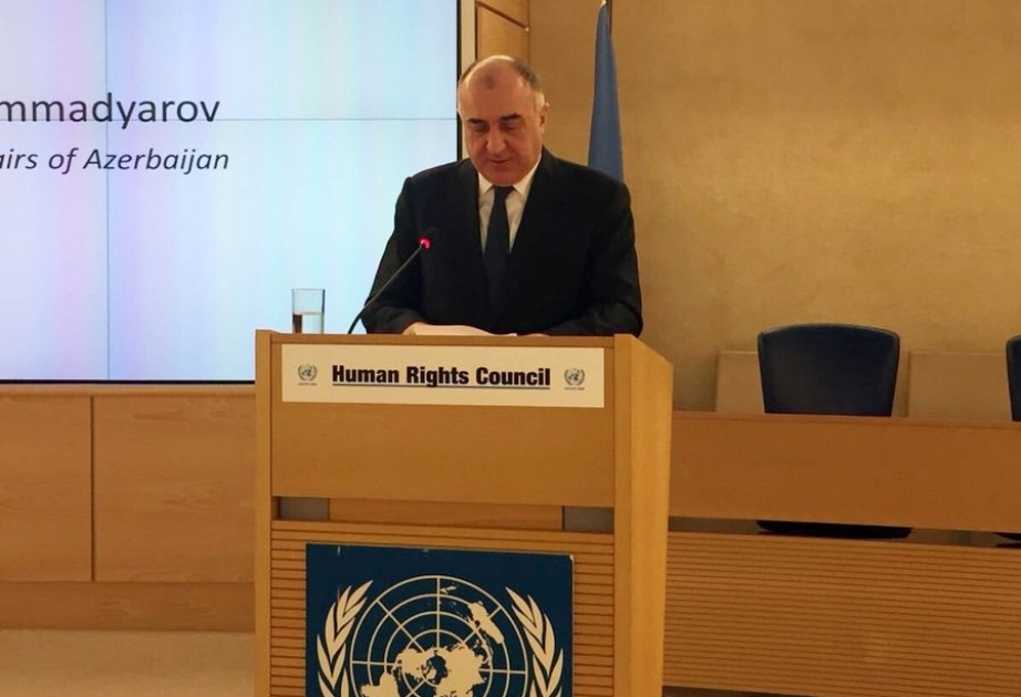 FM: Strengthening democracy and protecting human rights are among top priorities of Azerbaijan
