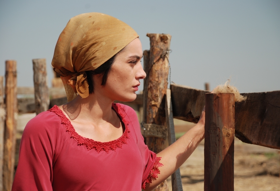Azerbaijani movie wins award at Virgin Spring Cinefest