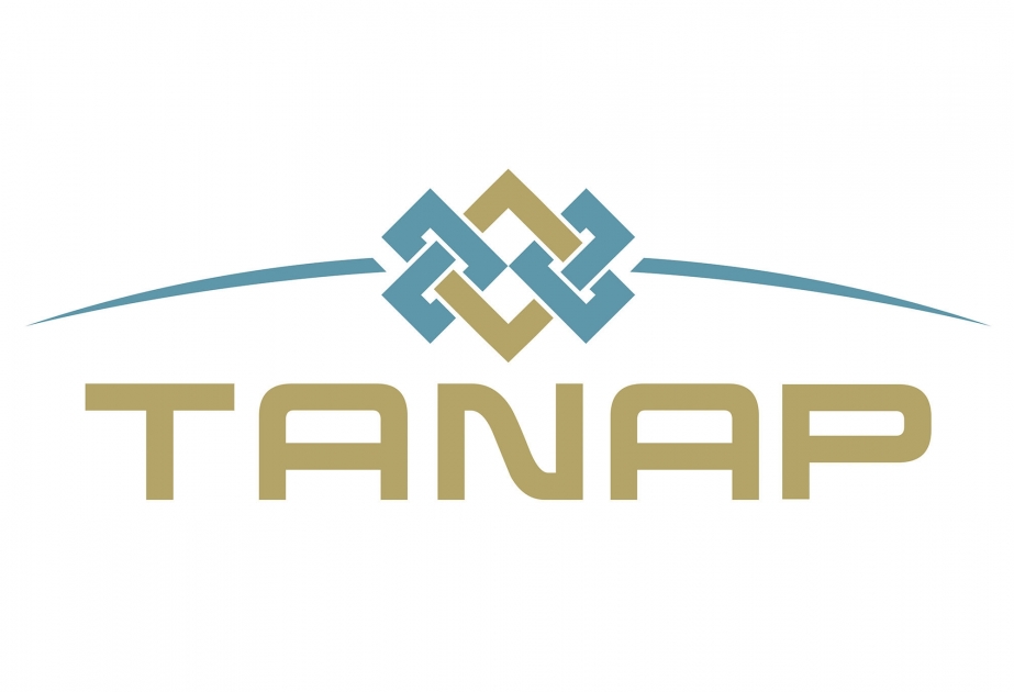 TANAP-ın inşası zamanı əvvəllər bilinməyən 9 fauna və 1 flora növü aşkarlanıb