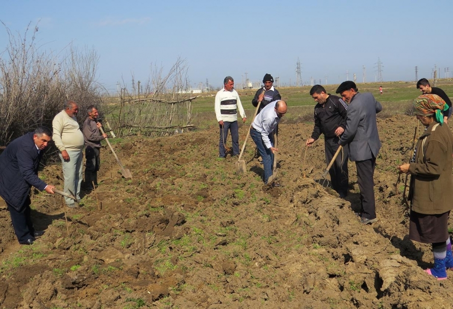 Yeni Azərbaycan Partiyasının yaranmasının 25 illiyi münasibətilə ağacəkmə aksiyası keçirilib